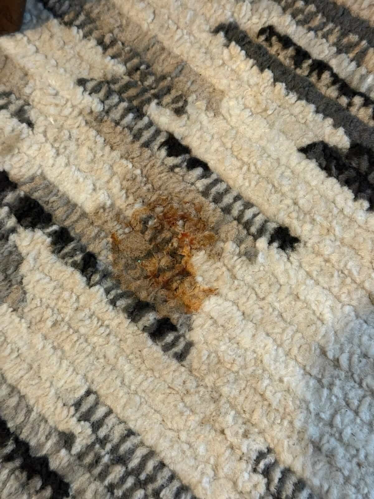 Before of Area rug refresh